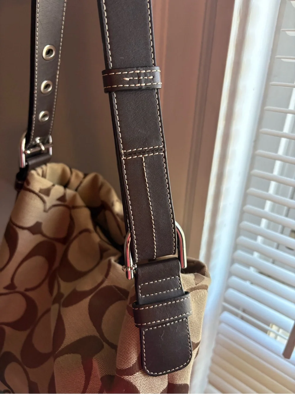 Coach Carly Hobo Bag